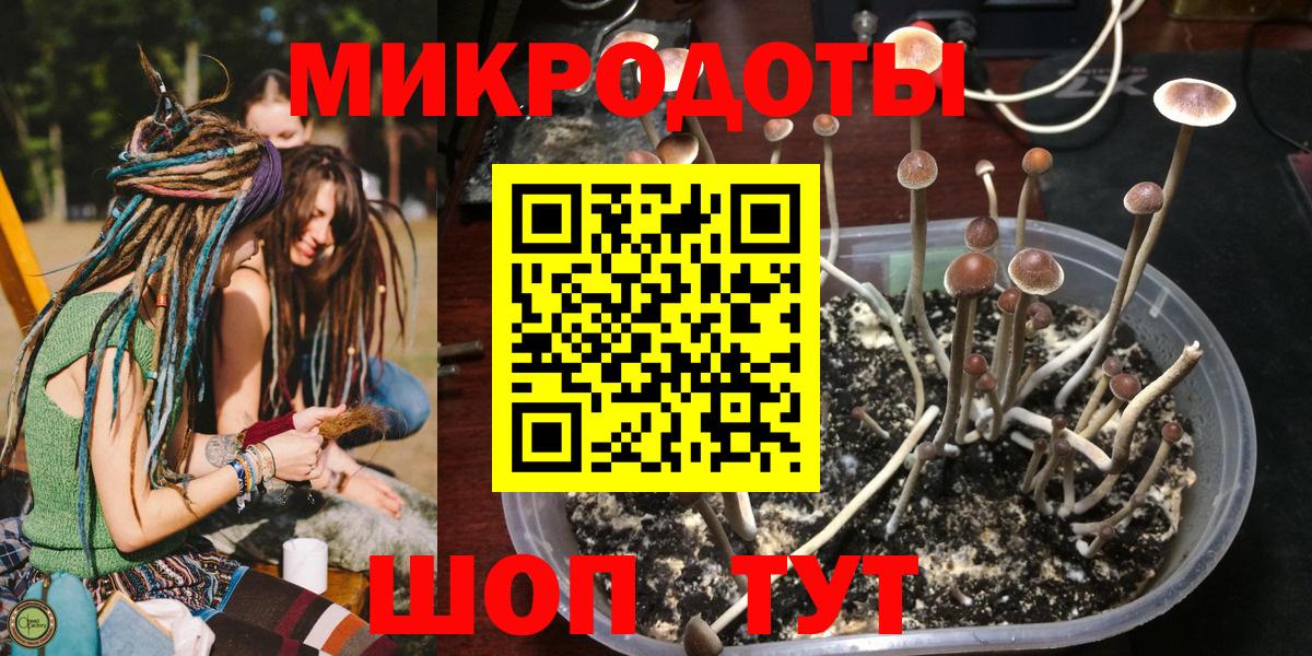 Новороссийск  как найти закладки  Вход с VPN  Псилоцибиновые грибы мухоморы  Галлюциногенные грибы MAGIC MUSHROOMS 
