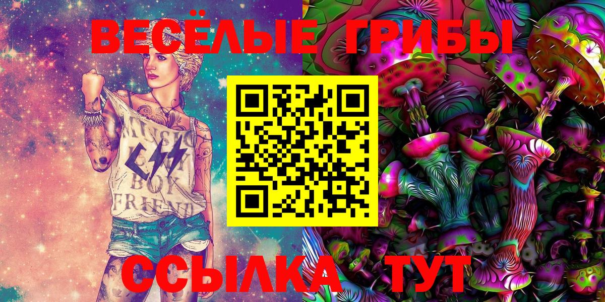 Псилоцибиновые грибы Cubensis Новороссийск